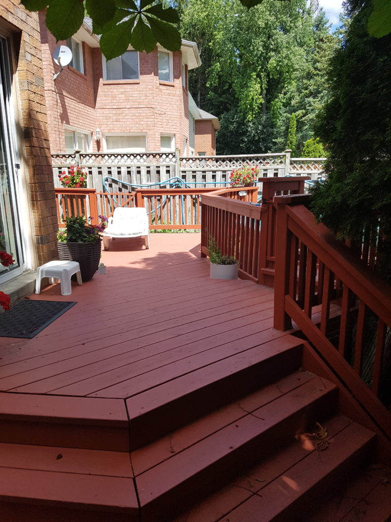 Deck and Fence